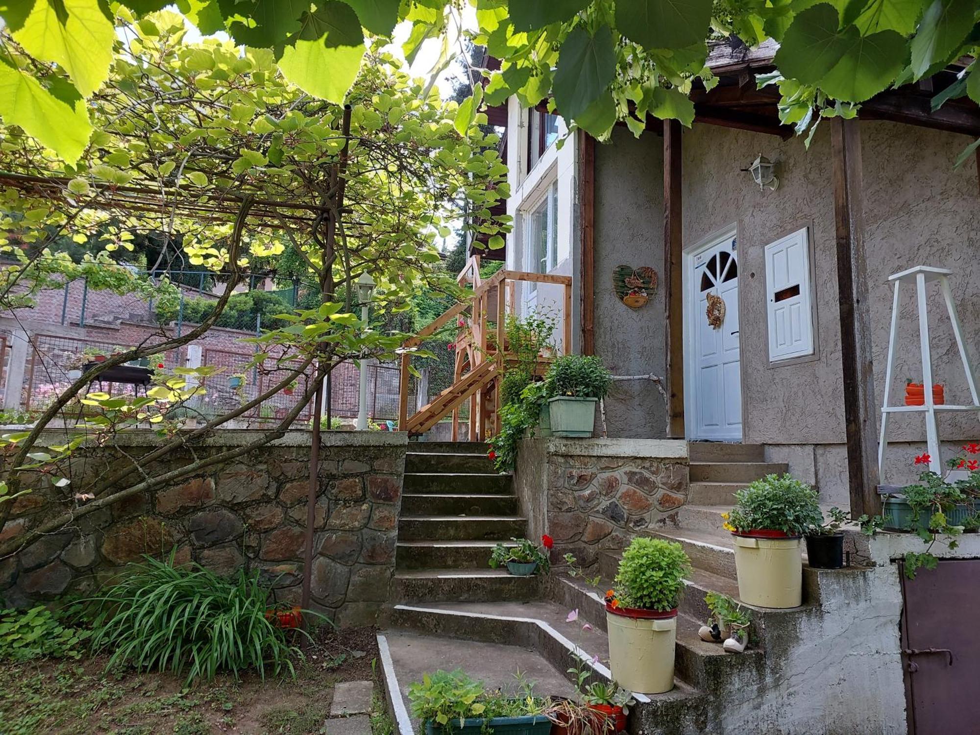 Apartman Nikola Rakovac Zewnętrze zdjęcie